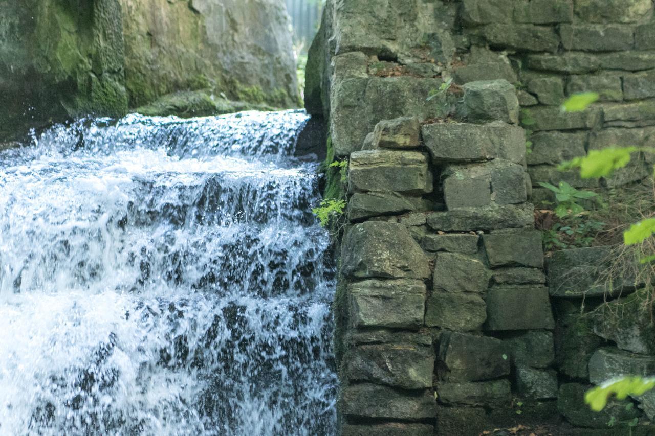 Haus Am Wasserfall Detmold Exteriör bild